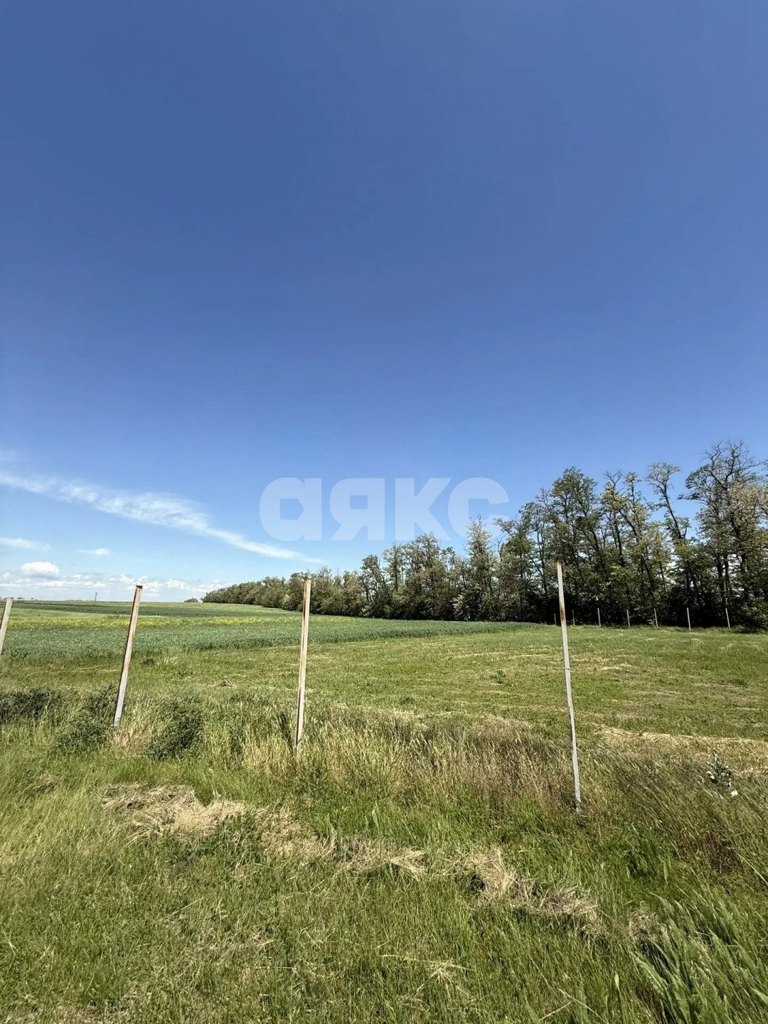 Фото №17: Личное подсобное хозяйство 2000 сот. - Сергиевская, ул. Выгонная