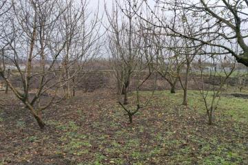 Фото №3: Дом 66 м² - Украинская, ул. Шоссейная