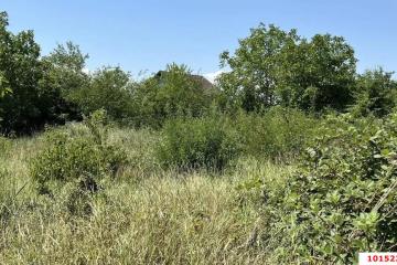 Фото №1: Земельный участок 30 сот. - Левченко, ул. Центральная, 48