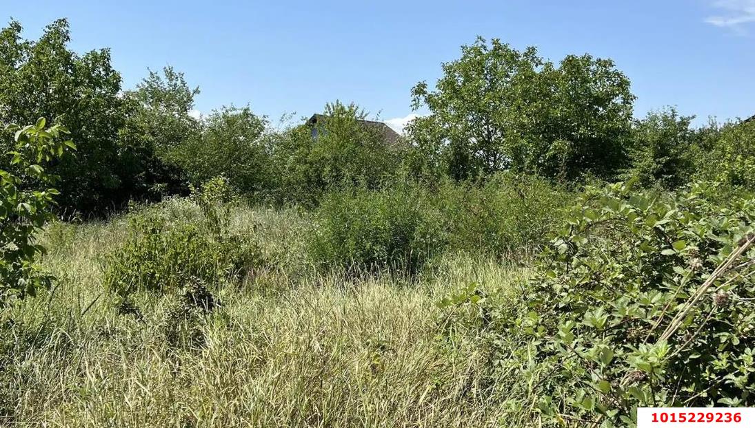 Фото №1: Земельный участок 30 сот. - Левченко, ул. Центральная, 48