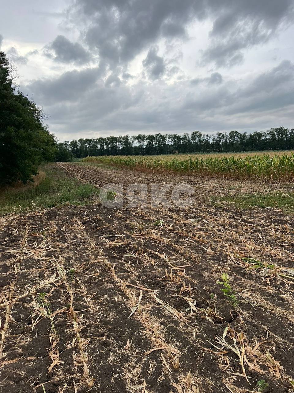 Фото №2: Личное подсобное хозяйство 2.25 сот. - Братковское, ул. Южная, 82