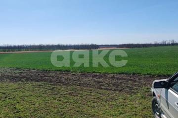 Фото №1: Личное подсобное хозяйство - Братковское, ул. Южная, 82