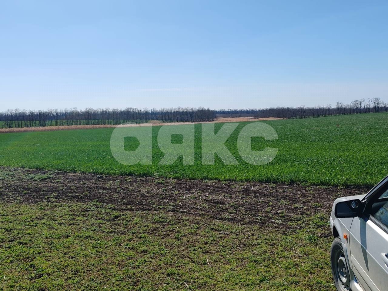 Фото №1: Личное подсобное хозяйство 2.25 сот. - Братковское, ул. Южная, 82