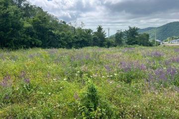 Фото №2: Земельный участок 5 сот. - СТ Озёрное, 214