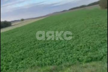 Фото №2: Личное подсобное хозяйство - Раздольная, ул. Степная