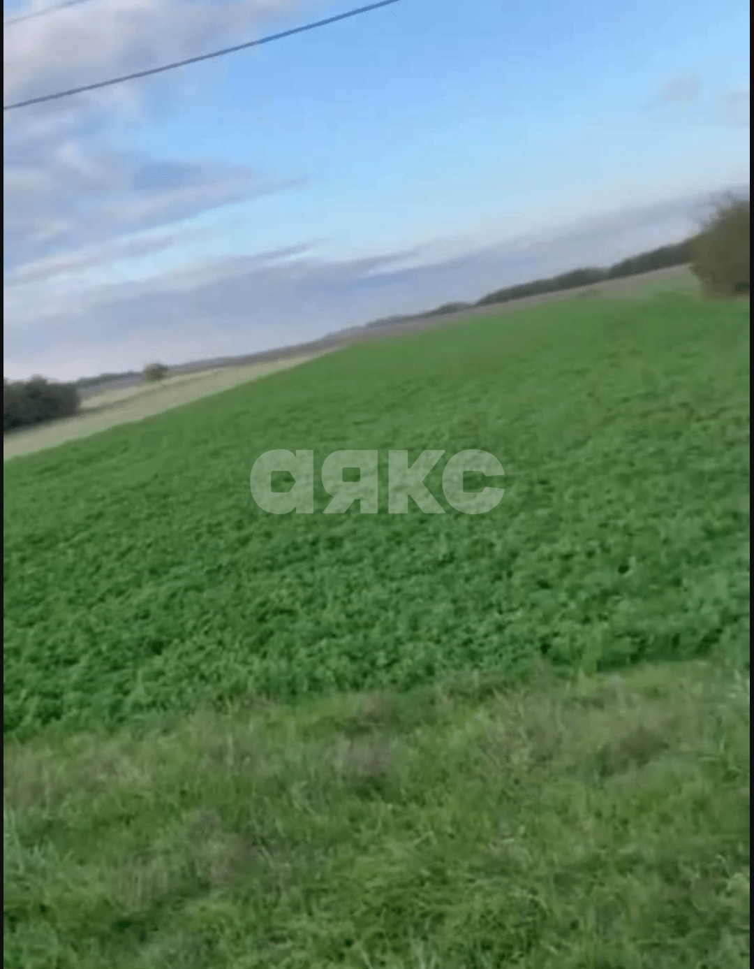 Фото №2: Личное подсобное хозяйство 20 сот. - Раздольная, ул. Степная