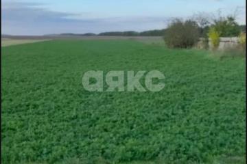 Фото №4: Личное подсобное хозяйство - Раздольная, ул. Степная