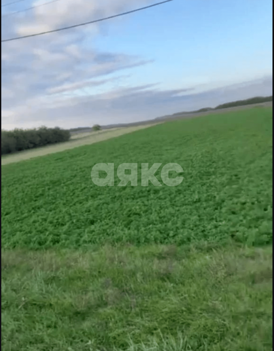 Фото №6: Личное подсобное хозяйство 20 сот. - Раздольная, ул. Степная