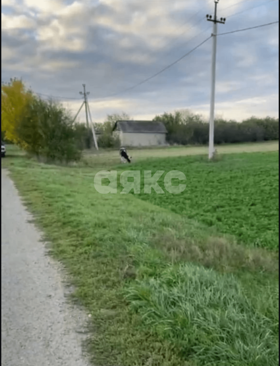 Фото №3: Личное подсобное хозяйство 20 сот. - Раздольная, ул. Степная