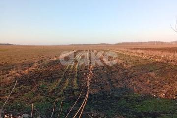 Фото №2: Личное подсобное хозяйство - Раздольная, ул. Степная