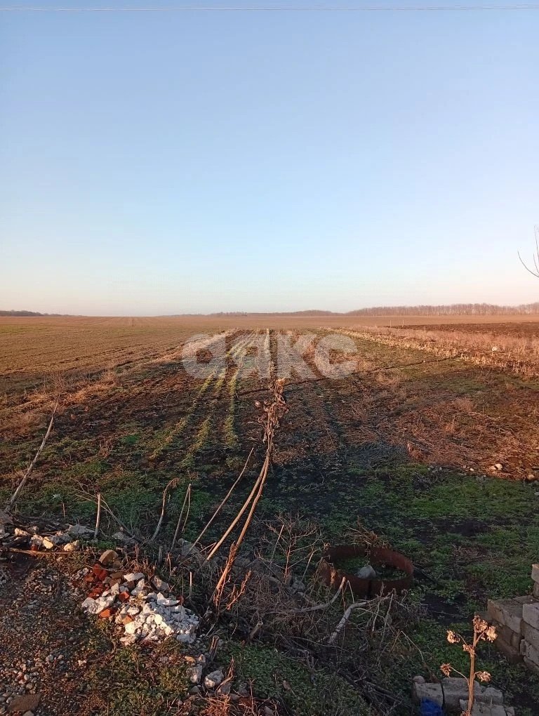 Фото №2: Личное подсобное хозяйство 26 сот. - Раздольная, ул. Степная