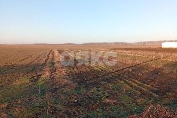 Фото №1: Личное подсобное хозяйство - Раздольная, ул. Степная