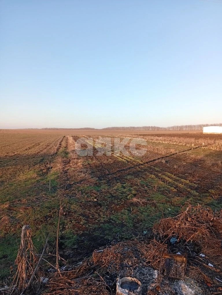 Фото №1: Личное подсобное хозяйство 26 сот. - Раздольная, ул. Степная