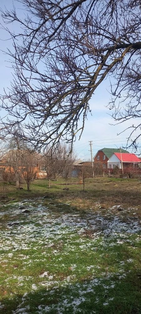 Фото №3: Личное подсобное хозяйство 504 сот. - Платнировская, ул. Красноармейская