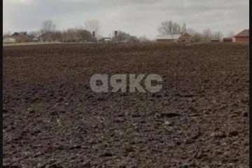 Фото №2: Личное подсобное хозяйство - Раздольная, ул. Партизанская, 7