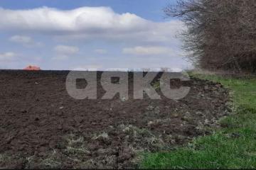 Фото №1: Личное подсобное хозяйство - Раздольная, ул. Партизанская, 7