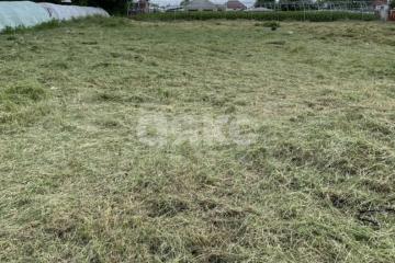 Фото №1: Личное подсобное хозяйство - Платнировская, ул. Кубанская