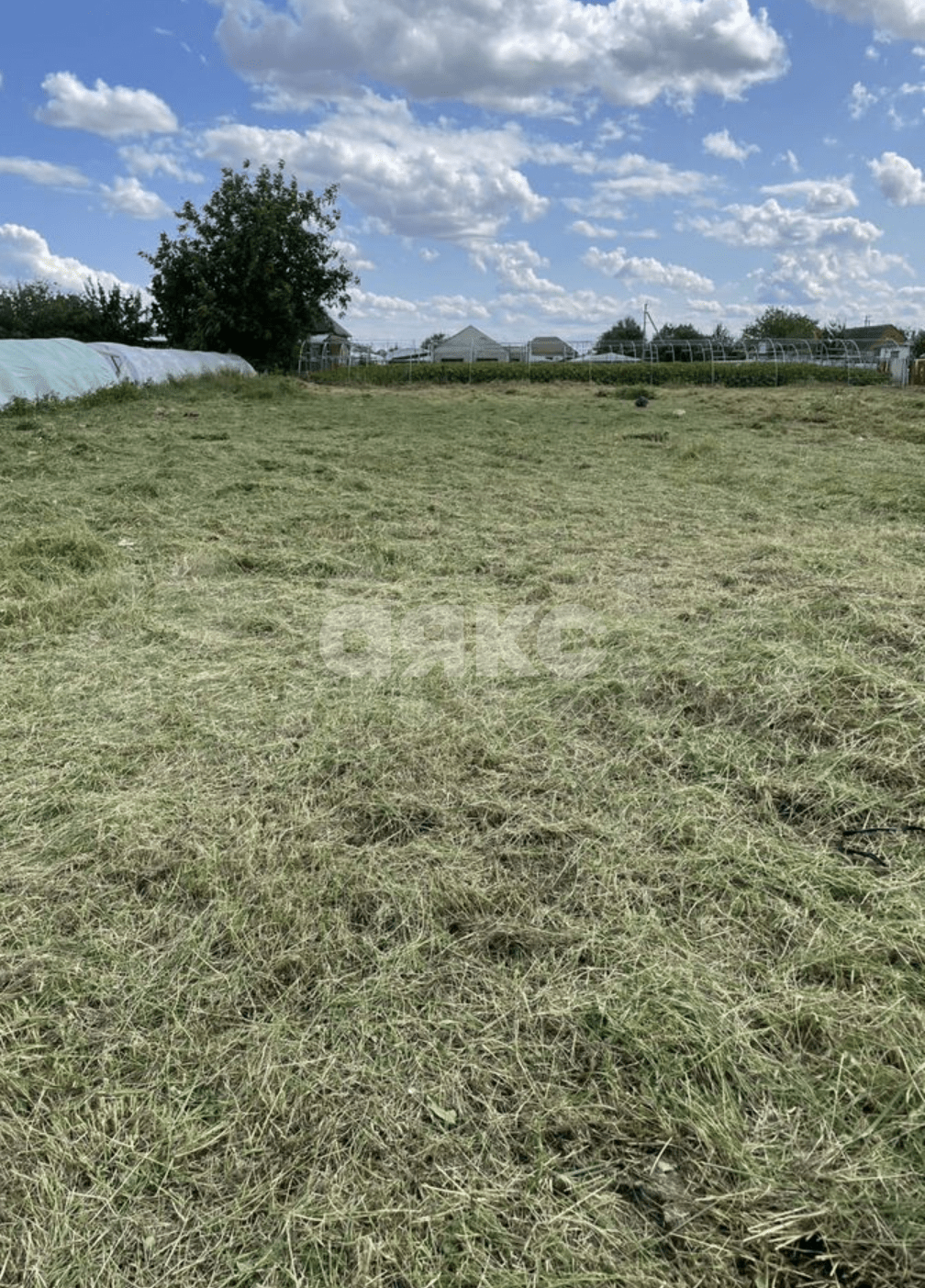 Фото №1: Личное подсобное хозяйство 7.3 сот. - Платнировская, ул. Кубанская