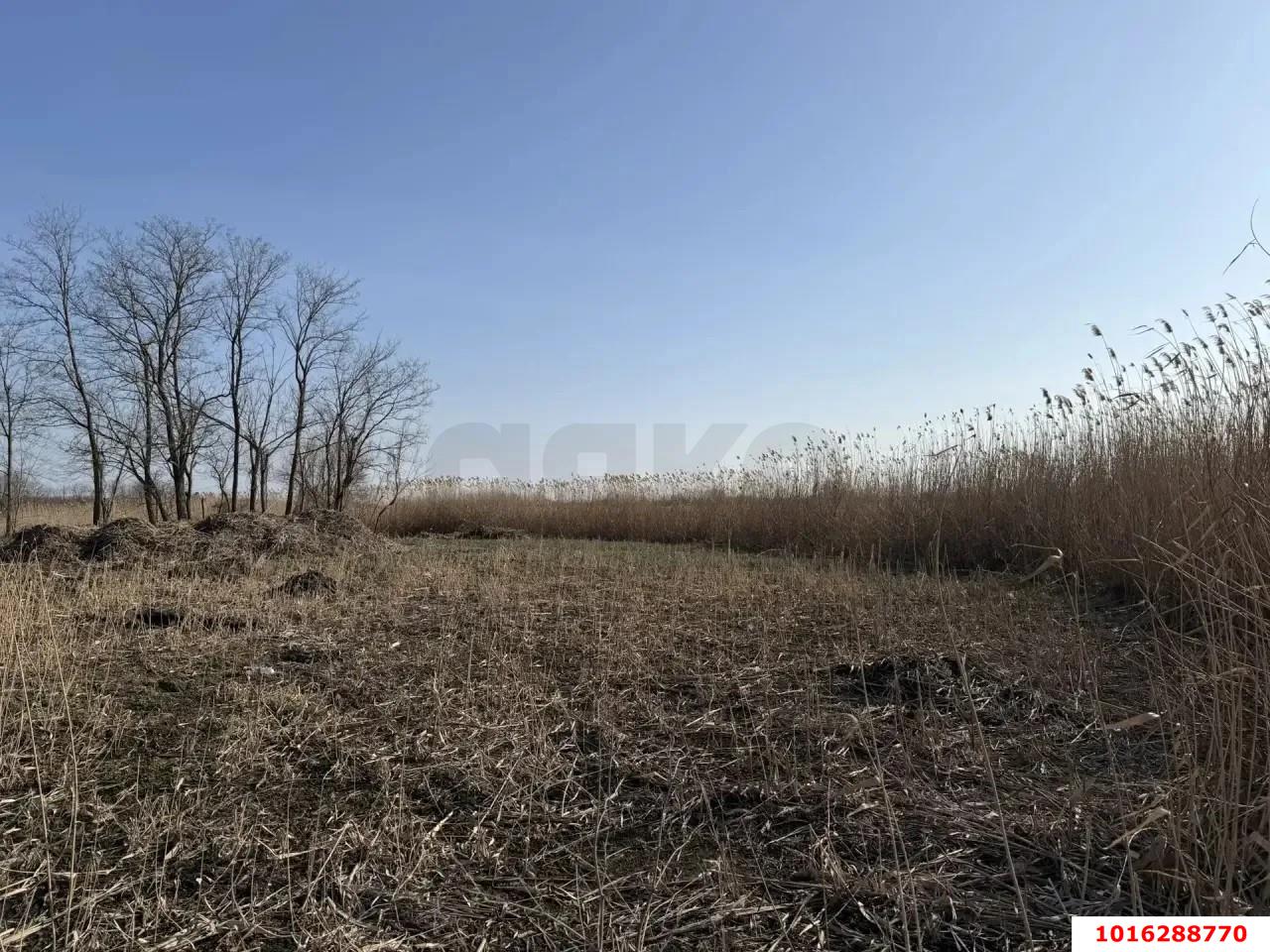 Фото №9: Дом 34 м² + 50 сот. - Кореновск, мкр. 1-й квартал, ул. Короткая