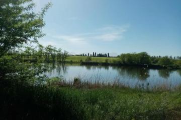 Фото №1: Коммерция 35 м² - Скобелевская, 