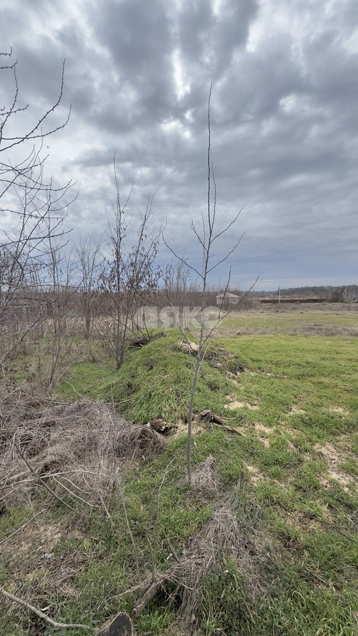 Фото №2: Земельный участок под ИЖС 7.97 сот. - Казачий, ул. Заречная