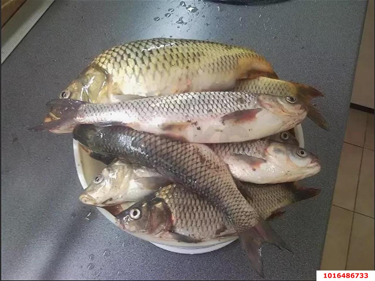 Фото №7: Земельный участок 8.7 сот. - Дядьковская