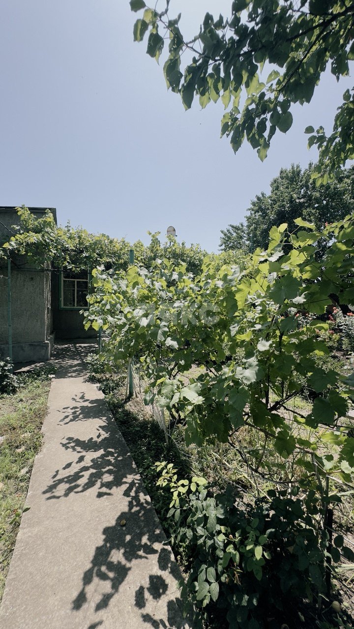 Фото №7: 1-комнатная квартира 41 м² - Платнировская, ул. Красная, 7