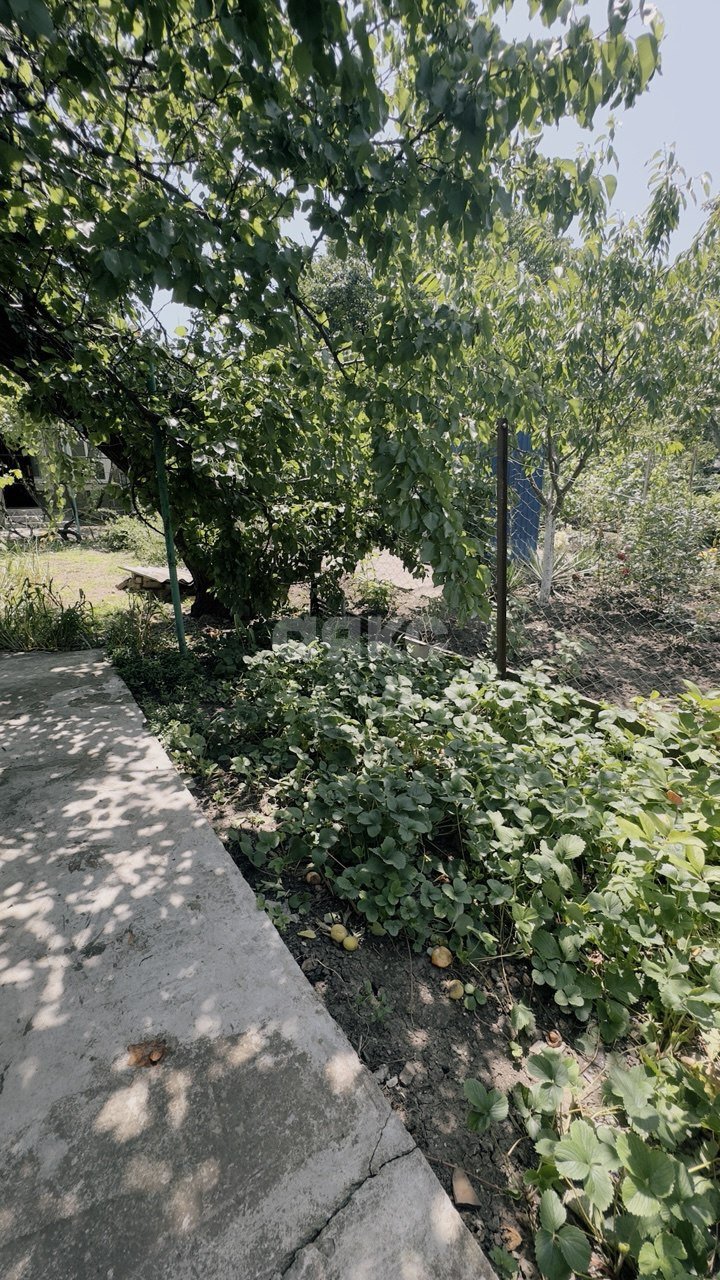 Фото №6: 1-комнатная квартира 41 м² - Платнировская, ул. Красная, 7