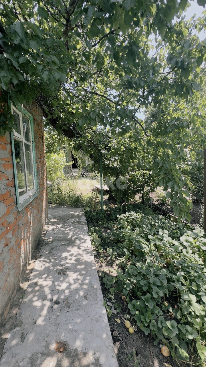 Фото №9: 1-комнатная квартира 41 м² - Платнировская, ул. Красная, 7