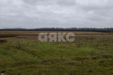 Фото №2: Земельный участок под ИЖС - Платнировская, ул. Северная