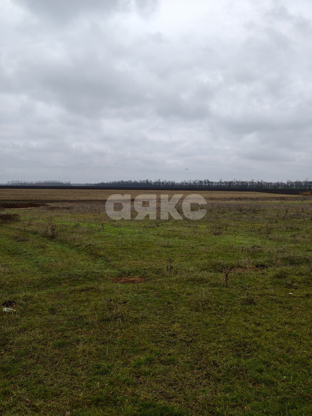 Фото №2: Земельный участок под ИЖС 11.56 сот. - Платнировская, ул. Северная