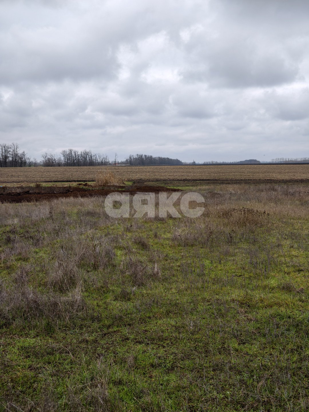 Фото №11: Земельный участок под ИЖС 11.56 сот. - Платнировская, ул. Северная