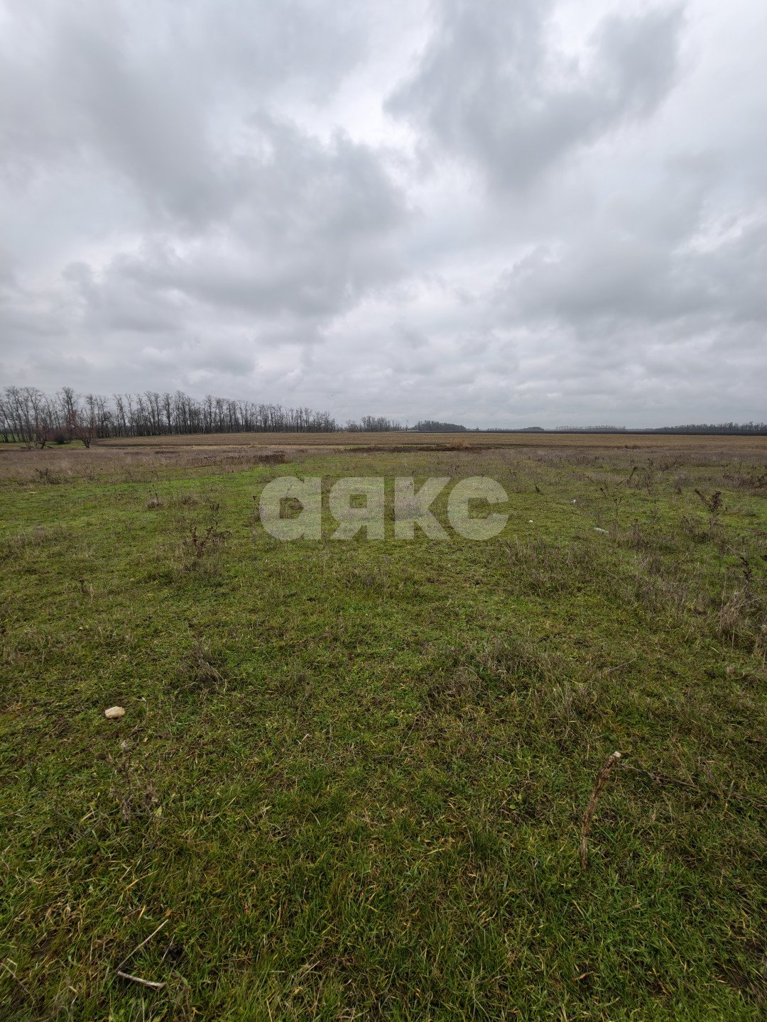 Фото №5: Земельный участок под ИЖС 11.56 сот. - Платнировская, ул. Северная