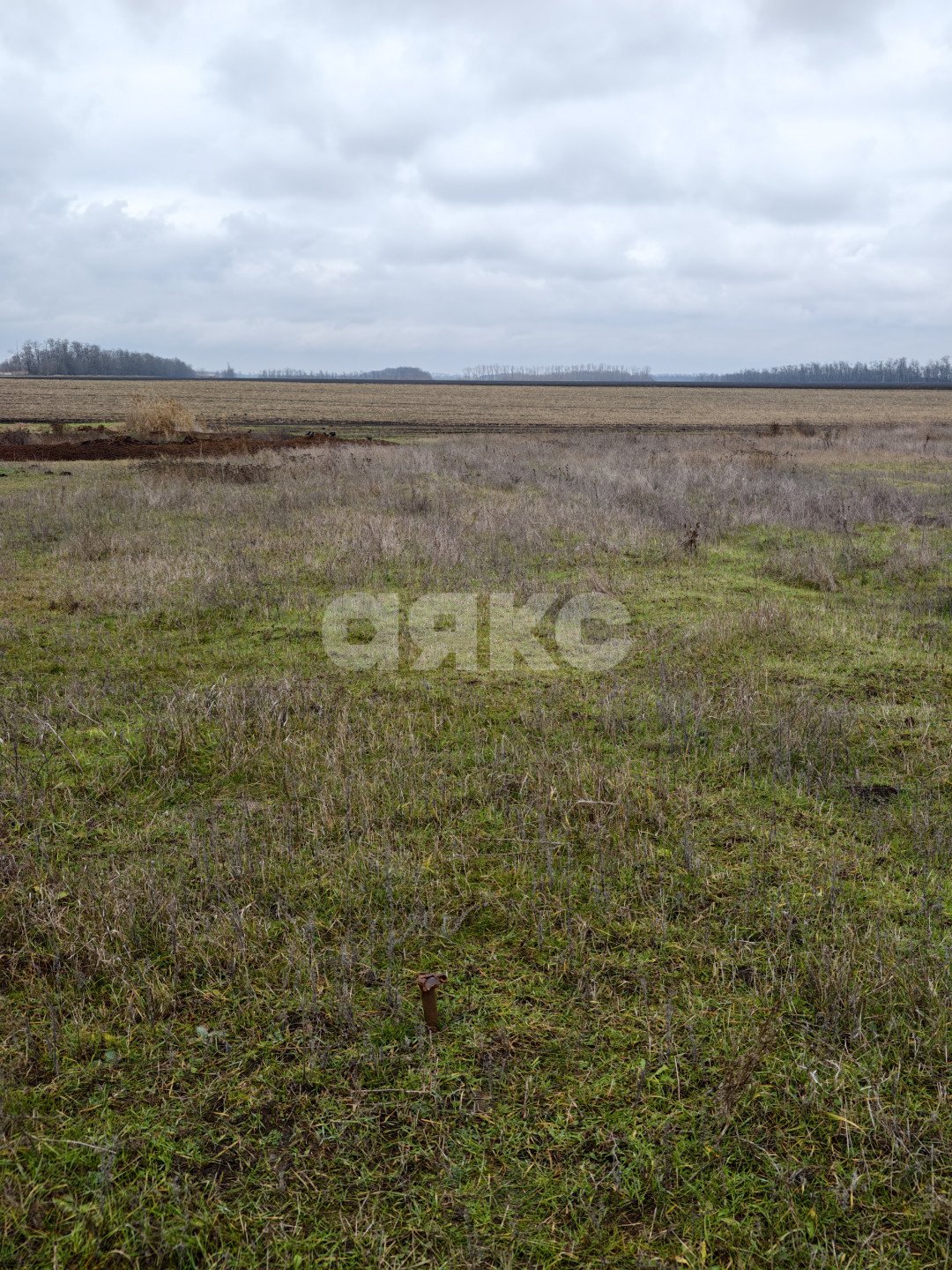 Фото №8: Земельный участок под ИЖС 11.56 сот. - Платнировская, ул. Северная