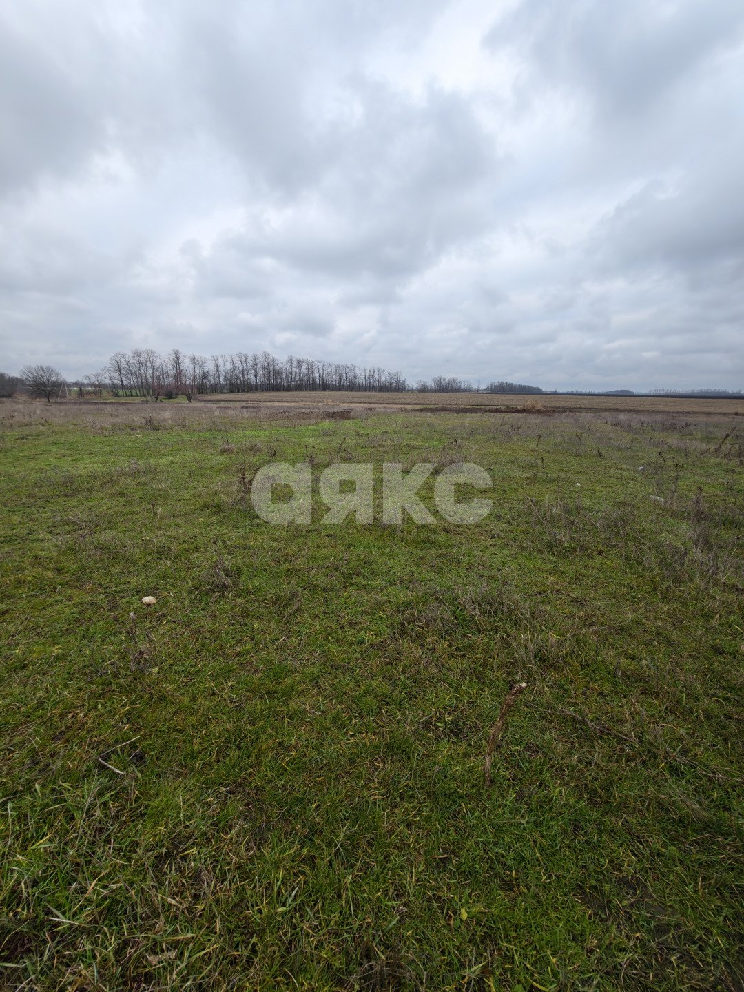 Фото №4: Земельный участок под ИЖС 11.56 сот. - Платнировская, ул. Северная