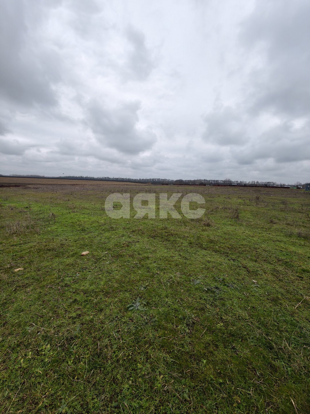 Фото №15: Земельный участок под ИЖС 11.56 сот. - Платнировская, ул. Северная